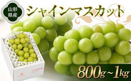 《先行予約 2026年度発送》シャインマスカット 800g～1kg マスカット ぶどう ブドウ 葡萄 デザート フルーツ 果物 くだもの 果実 食品 山形県 FSY-1859