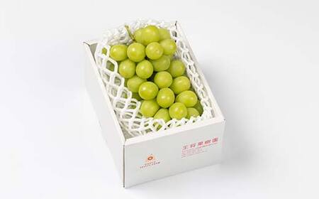 《先行予約 2026年度発送》シャインマスカット 800g～1kg マスカット ぶどう ブドウ 葡萄 デザート フルーツ 果物 くだもの 果実 食品 山形県 FSY-1859