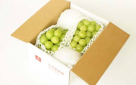 《先行予約 2026年度発送》シャインマスカット 800g～1kg マスカット ぶどう ブドウ 葡萄 デザート フルーツ 果物 くだもの 果実 食品 山形県 FSY-1859