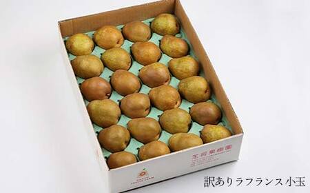 《先行予約 2026年度発送》訳あり ラ・フランス 4kg ご家庭用 なし ナシ 梨 デザート フルーツ 果物 くだもの 果実 食品 山形県 FSY-2662