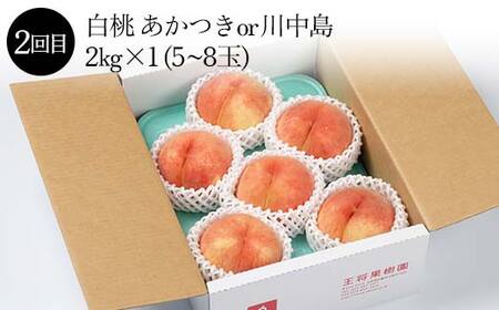 《先行予約 2026年度発送》果樹園物語S ≪果物 3回定期便≫ FSY-2311