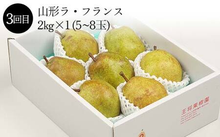 《先行予約 2026年度発送》果樹園物語S ≪果物 3回定期便≫ FSY-2311