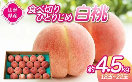 《先行予約 2026年度発送》食べ切りひとりじめ 白桃 4.5kg（18～22玉） もも モモ 桃 デザート フルーツ 果物 くだもの 果実 食品 山形県 FSY-2469