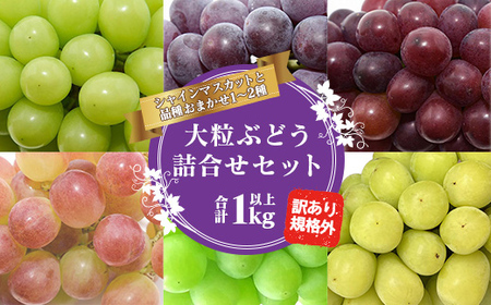 【先行予約2026年度発送】山形県産 訳あり ぶどう（品種おまかせ）計1kg マスカット ぶどう ブドウ 葡萄 デザート フルーツ 果物 くだもの 果実 食品 山形県 FSY-1327