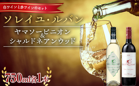 ソレイユ・ルバン ヤマソービニオン ＆ シャルドネセット 各750ml F2Y-5574