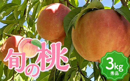 《先行予約 2026年発送》旬の桃 （白桃） 秀品 約3kg 8～12玉 もも モモ 桃 デザート フルーツ 果物 くだもの 果実 食品 山形県 FSY-2527