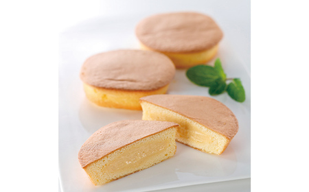 山形の極み】杵屋本店 カスタードケーキ 昭和のカスタード 16個 F2Y