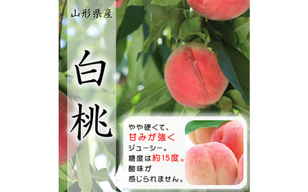 《先行受付 2025年》山形県産 白桃 3kg 品種玉数おまかせ もも モモ 桃 デザート フルーツ 果物 くだもの 果実 食品 山形県 FSY-1802