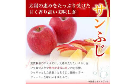 《先行予約 2025年度発送》山形県産 りんご（サンフジ） 秀品 約5kg りんご リンゴ 林檎 デザート フルーツ 果物 くだもの 果実 食品 山形県 FSY-1808