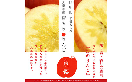 《先行受付 2025年》山形県産 蜜入りんご 高徳（こうとく） 秀品 約3kg りんご リンゴ 林檎 デザート フルーツ 果物 くだもの 果実 食品 山形県 FSY-1809