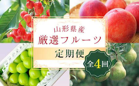 《先行予約 2025年6月発送開始》 山形県の至高！ 山形県厳選 フルーツ定期便 全4回 FSY-1814