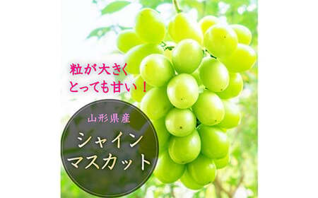 《先行予約 2025年8月発送開始》 山形県の至高！ 山形県厳選 フルーツ定期便 全3回 FSY-1819