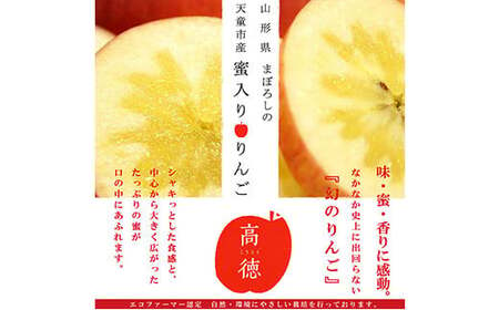 《先行受付 2025年》山形県産 蜜入りんご 高徳（こうとく） 秀品 約5kg りんご リンゴ 林檎 デザート フルーツ 果物 くだもの 果実 食品 山形県 FSY-1810