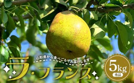 【先行予約（2026年度発送）】山形県産 ラ・フランス 5kg(12～20玉) 秀品 梨 洋梨 果物 フルーツ FSY-2167