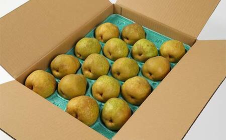 【先行予約（2026年度発送）】山形県産 ラ・フランス 5kg(12～20玉) 秀品 梨 洋梨 果物 フルーツ FSY-2167