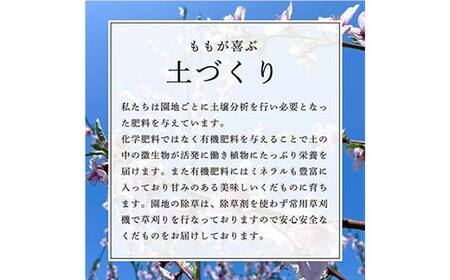 【先行受付（令和7年度発送）】山形もぎたて『黄金桃』(無袋)3kg FSY-2033