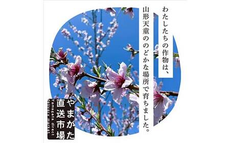 【先行受付（令和7年度発送）】山形もぎたて『黄金桃』(無袋)3kg FSY-2033