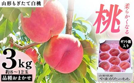 【先行受付 令和8年度発送】山形もぎたて白桃『柔らかくなる桃』品種おまかせ約3kg ギフト箱入り FSY-2540