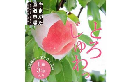 【先行受付 令和8年度発送】山形もぎたて白桃『柔らかくなる桃』品種おまかせ約3kg ギフト箱入り FSY-2540