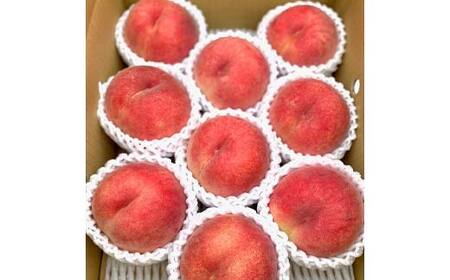 【先行受付 令和8年度発送】山形もぎたて白桃 品種おまかせ3kg FSY-2036