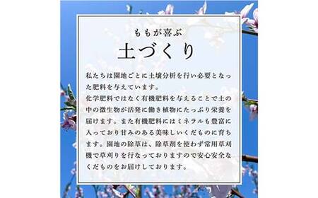 【先行受付 令和8年度発送】山形もぎたて白桃 品種おまかせ3kg FSY-2036