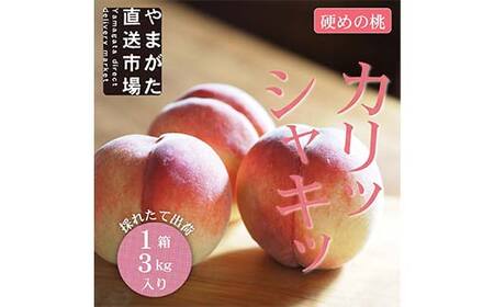 【先行受付 令和8年度発送】山形もぎたて白桃『硬めの桃』品種おまかせ3kg ギフト箱入り FSY-2038
