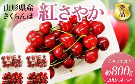《2026年先行予約》 山形県産 さくらんぼ ＜紅さやか＞ 秀品 約800g（200g×4パック） Lサイズ以上 FSY-2010
