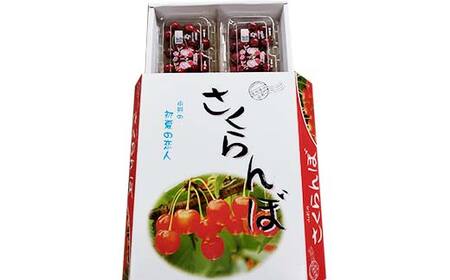 《2026年先行予約》 山形県産 さくらんぼ ＜紅さやか＞ 秀品 約800g（200g×4パック） Lサイズ以上 FSY-2010