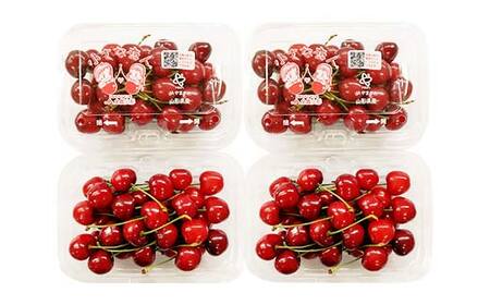 《2026年先行予約》 山形県産 さくらんぼ ＜紅さやか＞ 秀品 約800g（200g×4パック） Lサイズ以上 FSY-2010