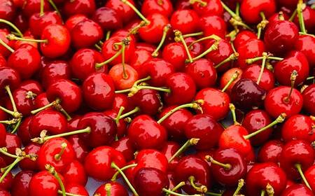 【先行受付（令和8年度発送）】 2026年産 さくらんぼ「佐藤錦」300g 秀品 Lサイズ以上 山形県産 FSY-2084