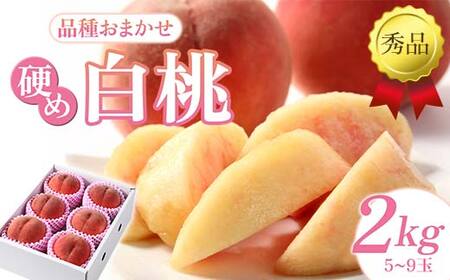 【先行予約（2026年9月より順次発送）】硬め白桃 約2kg（5玉～9玉）秀品 FSY-2532