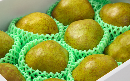 【先行予約（2026年11月中旬頃より順次発送）】ラ・フランス 2kg 秀品 FSY-2089