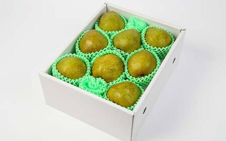 【先行予約（2026年11月中旬頃より順次発送）】ラ・フランス 2kg 秀品 FSY-2089