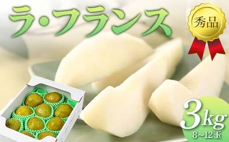 【先行予約（2026年11月中旬頃より順次発送）】ラ・フランス 3kg 秀品 FSY-2090