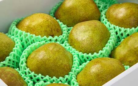 【先行予約（2026年11月中旬頃より順次発送）】ラ・フランス 3kg 秀品 FSY-2090