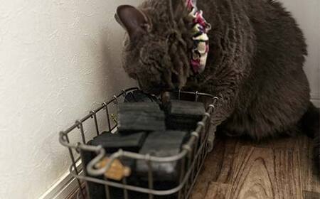 炭で調湿消臭（Lサイズ1.3kg）山形県産 楢炭  F2Y-4069