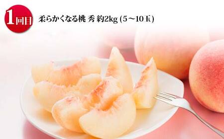 《2026年 先行予約》 山形の旬のおいしさ食べ比べ 山形の桃三昧 3回定期便 桃 果物 フルーツ FSY-2471