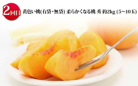 《2026年 先行予約》 山形の旬のおいしさ食べ比べ 山形の桃三昧 3回定期便 桃 果物 フルーツ FSY-2471