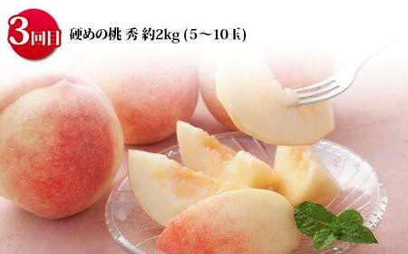 《2026年 先行予約》 山形の旬のおいしさ食べ比べ 山形の桃三昧 3回定期便 桃 果物 フルーツ FSY-2471