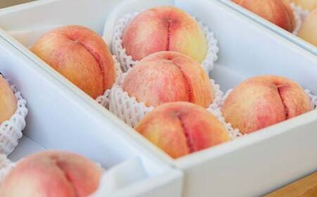 《2026年 先行予約》 農家自慢の柔らかくなる桃 約2kg(5～10玉) 果物 フルーツ FSY-2052