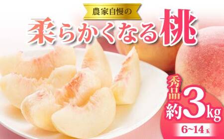 《2026年 先行予約》 農家自慢の柔らかくなる桃 約3kg(6～14玉) 果物 フルーツ FSY-2053