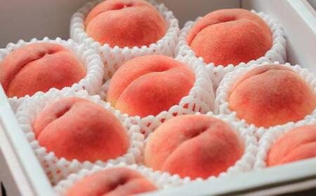 《2026年 先行予約》 農家自慢の柔らかくなる桃 約3kg(6～14玉) 果物 フルーツ FSY-2053