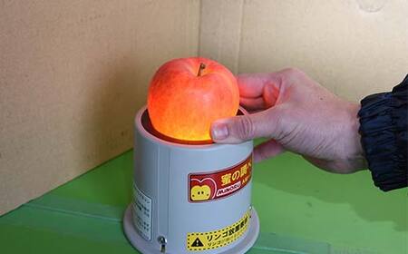 《2026年発送 先行予約》 蜜入り りんご 高徳 1kg(5~7玉) 秀品 山形県産 ギフトBOX入り 果物 フルーツ FSY-2719