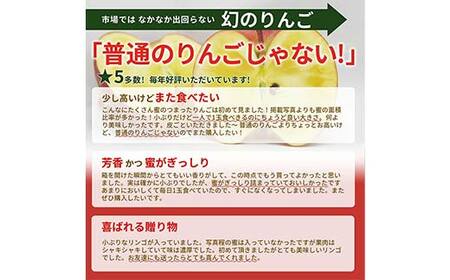 《2026年発送 先行予約》 蜜入り りんご 高徳 1kg(5~7玉) 秀品 山形県産 ギフトBOX入り 果物 フルーツ FSY-2719