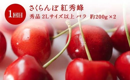 ≪数量限定 期間限定≫2026年先行予約 【山形代表フルーツ定期便】 3回定期便 FSY-2323
