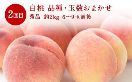 ≪数量限定 期間限定≫2026年先行予約 【山形代表フルーツ定期便】 3回定期便 FSY-2323