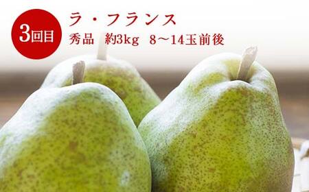≪数量限定 期間限定≫2026年先行予約 【山形代表フルーツ定期便】 3回定期便 FSY-2323