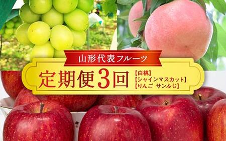 ≪数量限定 期間限定≫2026年先行予約 【山形代表フルーツ定期便】 3回定期便 FSY-2403