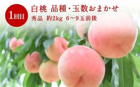 ≪数量限定 期間限定≫2026年先行予約 【山形代表フルーツ定期便】 3回定期便 FSY-2403