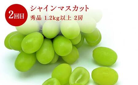 ≪数量限定 期間限定≫2026年先行予約 【山形代表フルーツ定期便】 3回定期便 FSY-2403